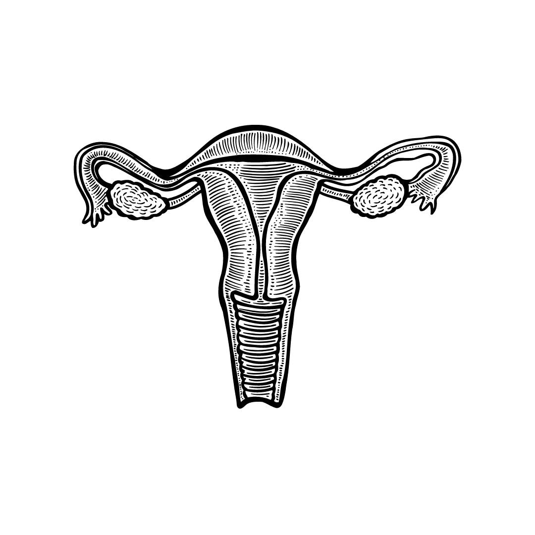 OBGYN / L&D / Midwife