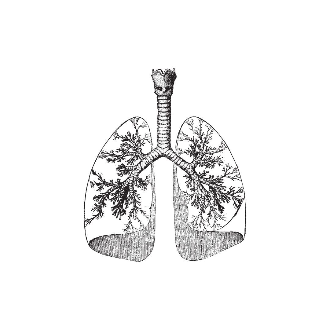 Pulmonology
